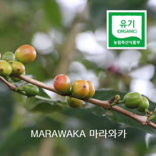 PNG BLUE ORGANIC  MARAWAKA MOUNTAIN COFFEE - 마라와카 1kg